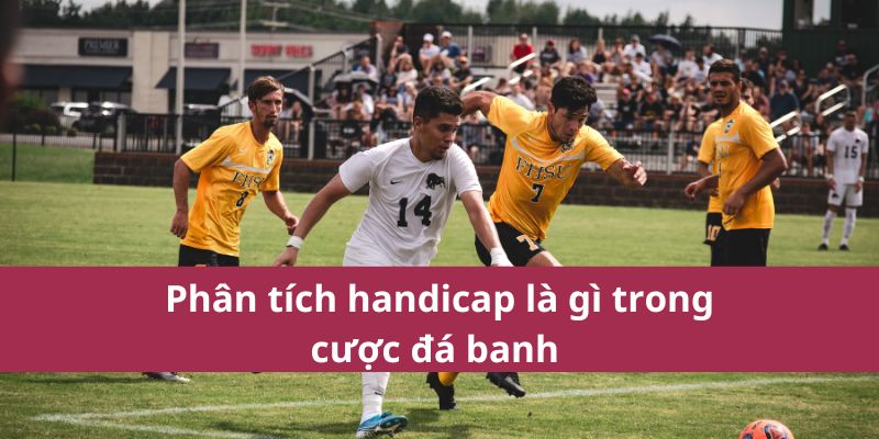 Handicap Là Gì Trong Cá Cược Và Cách Áp Dụng Hiệu Quả? 3 Phân tích handicap là gì trong cược đá banh