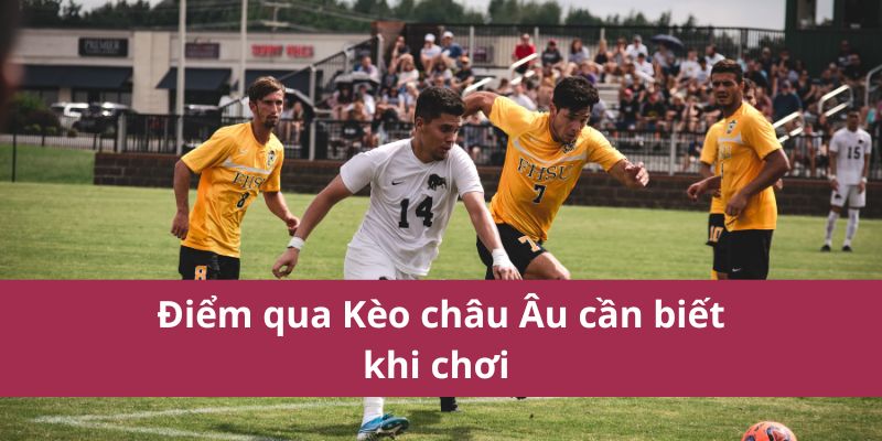 Hướng Dẫn Đặt Kèo Châu Âu Từ Cao Thủ Mới Nhất Năm 2025 2 Điểm qua Kèo châu Âu cần biết khi chơi