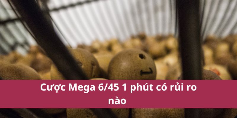 Cách Tham Gia Mega 6/45 1 Phút Nhanh Và Dễ Dàng Nhất 2025 4 Cược Mega 6/45 1 phút có rủi ro nào