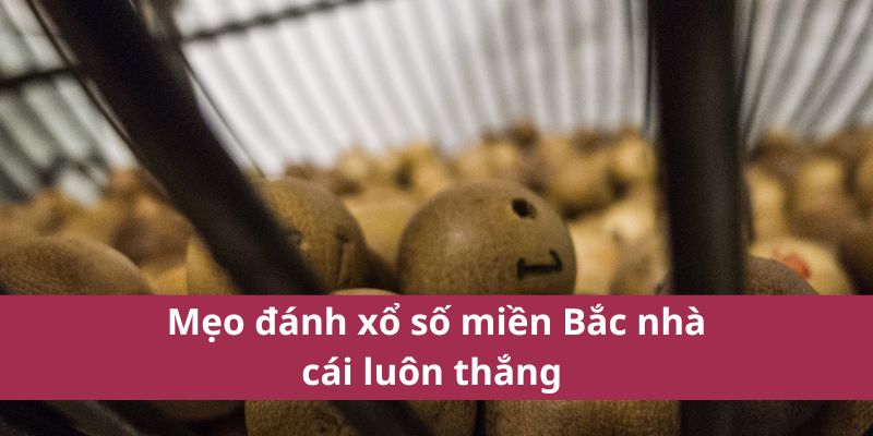 Bí Quyết Đánh Xổ Số Miền Bắc Từ Cao Mới Nhất Năm 2025 4 Mẹo đánh xổ số miền Bắc nhà cái luôn thắng