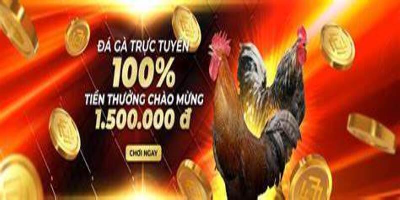 Đá Gà Philippines 77Bet: Trải Nghiệm Cá Cược Mới Lạ 4 Lợi ích khi cùng trải nghiệm nền tảng game số 1